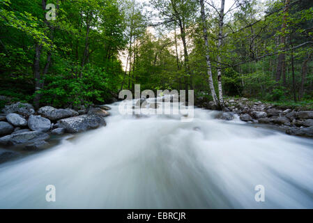 Fluss in Bulgarien, Pirin-Gebirge Pirin Nationalpark Pirin-Gebirges Stockfoto