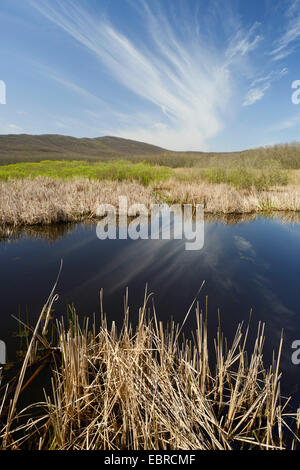 Arkutino Naturschutzgebiet, Sosopol, Biosphaerenreservat Ropotamo, Burgas, Bulgarien Stockfoto