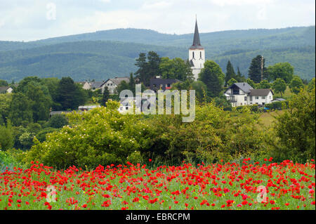 zeigen Sie mit rot blühenden Mohnfeld, Deutschland, Nordrhein-Westfalen, Eifel an, Eschweiler Stockfoto