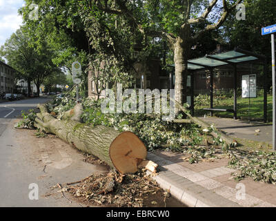 Straße mit Bushaltestelle nach Sturmtief Ela am 2014-06-09, Bochum, Ruhrgebiet, Nordrhein-Westfalen, Deutschland Stockfoto