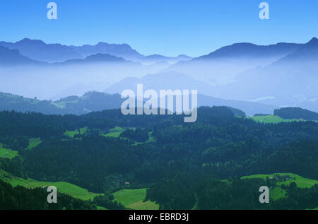 Blick auf die Chiemgauer Alpen im Morgennebel, Chiemgauer Alpen, Österreich, Walchseegebiet Stockfoto