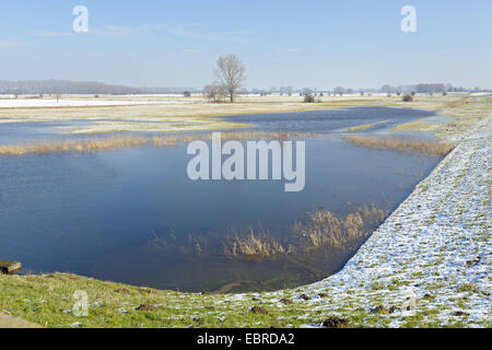 überflutete schneebedecktes Feld Landschaft des Niederrheins, Schenkenschanz, Niederrhein, Nordrhein-Westfalen, Deutschland Stockfoto