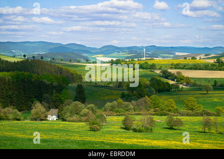 Landschaft im Frühling, Blick auf das Rothaargebirge, gesehen von Bracht in der Nähe von Schmallenberg, Deutschland, Nordrhein-Westfalen, Hochsauerland Stockfoto