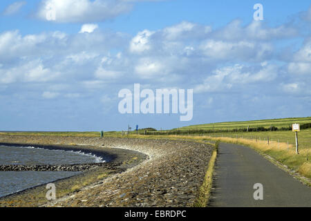 Küstenlinie Stabilisierung und Sporn Deiche bei Hochwasser in Dorum-Neufeld, Deutschland, Niedersachsen, Lower Sachsen Nationalpark Wattenmeer, Dorum-Neufeld Stockfoto