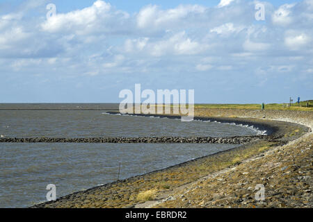 Küstenlinie Stabilisierung und Sporn Deiche bei Hochwasser in Dorum-Neufeld, Deutschland, Niedersachsen, Lower Sachsen Nationalpark Wattenmeer, Dorum-Neufeld Stockfoto