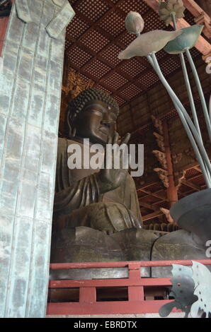 Dieses Bild wurde in Nara, Japan erobert. Stockfoto