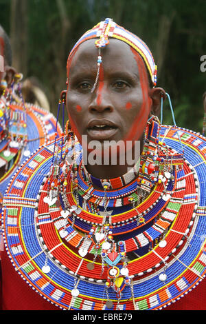 Massai mit traditionellen Halskette, Porträt, Kenia, Masai Mara Stockfoto