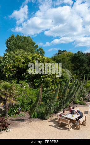 Das Café im Freien in Ventnor Botanic Gardens auf der Isle Of Wight. Stockfoto
