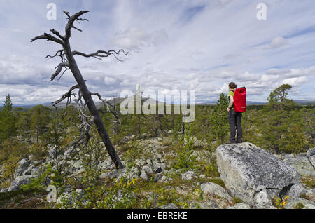 weibliche Wanderer genießen den Ausblick, Schweden, Haerjedalen, Rogen Naturreservat Stockfoto