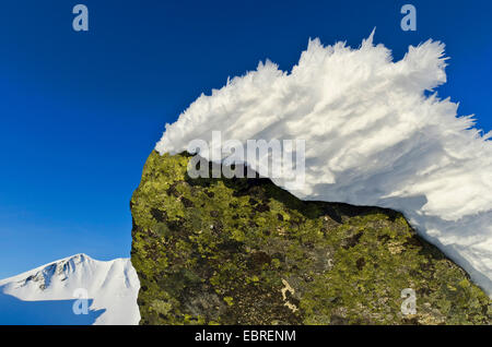 Eiskristalle auf Flechten bewachsene Felsen in Stuor Reaiddßvßggi Tal, Schweden, Lappland, Norrbotten, Kebnekaisefjell Stockfoto