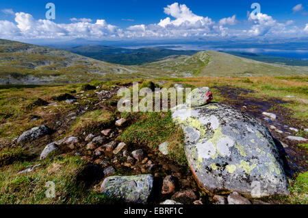 Blick vom Mount Elgahogna auf See Femunden, Norwegen, Hedmark Fylke, Femundsmarka Nationalpark Stockfoto