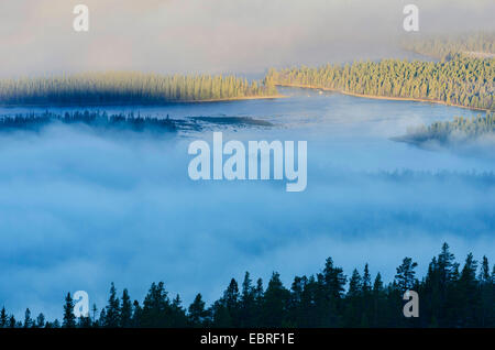 herrliche Sicht über See Galtsjoen im Morgennebel, Norwegen, Hedmark Fylke, Engerdalsfjellet Stockfoto