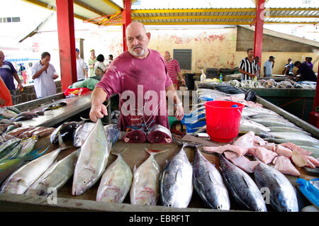 echter Bonito Thunfisch, Bonito, Streifen-bellied Bonito (Katsuwonus Pelamis, Euthynnus Pelamis), Verkäufer bietet frischen Fisch auf dem Fischmarkt, Sir Selwyn Selwyn Clarke Market, Seychellen, Mahe, Victoria Stockfoto