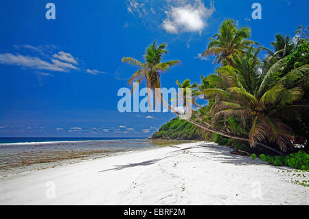 Strand von Anse Parnel auf Mahe Island, Seychellen, Mahe Stockfoto