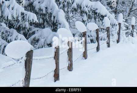 Schnee-Kappen auf Fechten Beiträge, Oberbayern, Oberbayern, Bayern, Deutschland Stockfoto