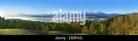 Blick vom Senkelekopf Vor den Hopfensee und die Tannheimer Berge, links hinten Saeuling, Deutschland, Bayern, Oberbayern, Oberbayern, Algaeu Stockfoto