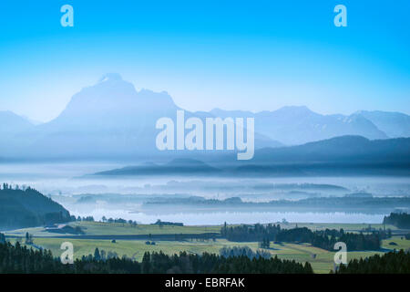 Blick auf den Hopfensee im Morgennebel, im Hintergrund Saeuling, Deutschland, Bayern, Oberbayern, Oberbayern, Allgäu Stockfoto