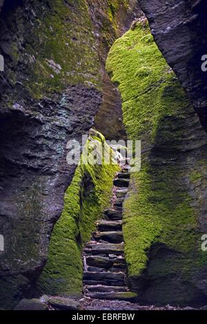 Canyon am Uriezzo in der Nähe von Domodossola, Italien Stockfoto