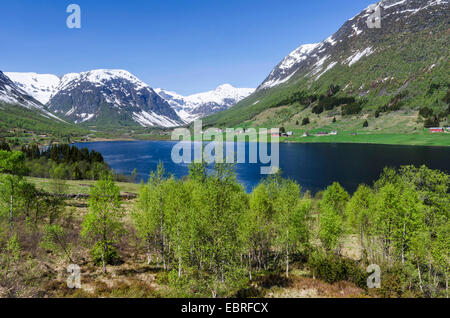 Landschaft am See Dalavatnet, Sogndal, Sogn Og Fjordane, Norwegen, Lappland Stockfoto