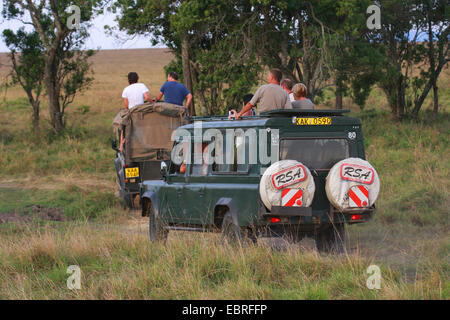 Safari-Tour in der Savanne, Kenia, Masai Mara Nationalpark Stockfoto