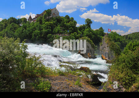 Rheinfall bei Schaffhausen und Schloss Laufen, Schweiz, Schaffhausen Stockfoto