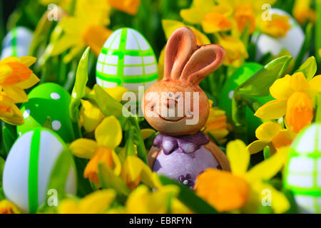 Narzisse (Narcissus spec.), Osterhase in gelben Narzissen und Easter eggs Stockfoto