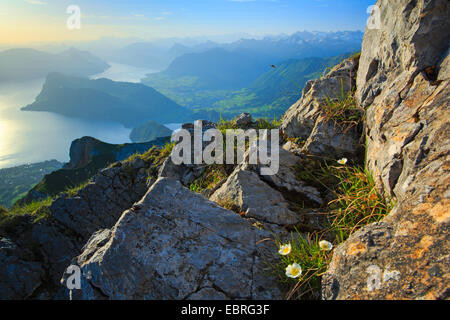 Vierwaldstättersee, Blick vom Pilatus, Schweiz, Vierwaldstättersee Stockfoto