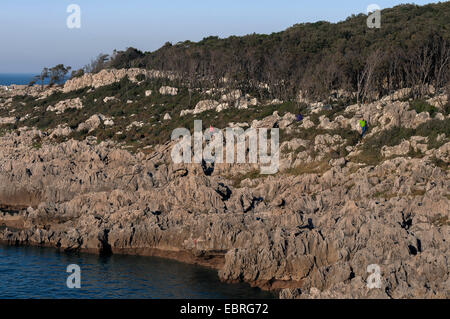 Natürlichen Felsen, ruhigen voller Bäume in Islares, Kantabrien, Spanien, Europa Stockfoto