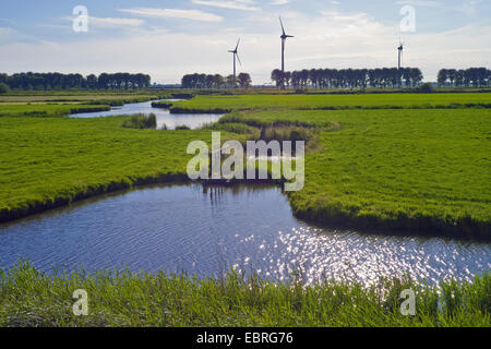 Teichen und Wiesen, Wind Motoren im Hintergrund, Niederlande, Noord Holland, Enkhuizen Stockfoto