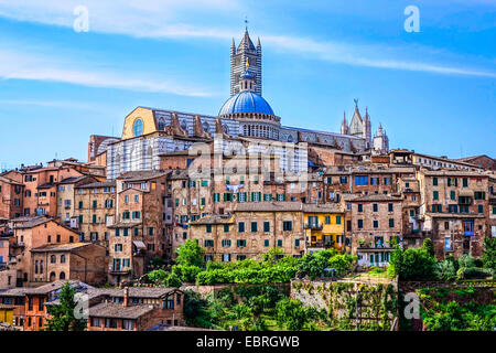 Blick auf die alte Stadt von Siena mit Kathedrale, Italien, Toskana, Siena Stockfoto