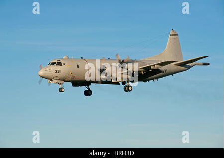 Eine Lockheed Martin 4 Engined P3 Orion Überwachung und u-Boot-Jäger Flugzeuge Ankunft in Morayshire, Schottland.  SCO 9297. Stockfoto