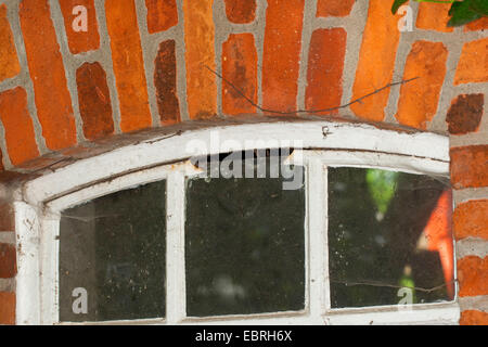 in einem Fenster gesägt, Lücke als eine Öffnung an der Innenseite der einen Schuppen hohle Hohlräume als Versteck, Deutschland Stockfoto