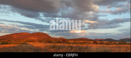 Mankwe Plain im Abendlicht, Südafrika, North West Province, Pilanesberg National Park Stockfoto