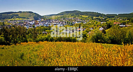 Blick auf Hallenberg mit blühenden Ginster im Rothaargebirge, Deutschland, North Rhine-Westphalia, Hallenberg Stockfoto