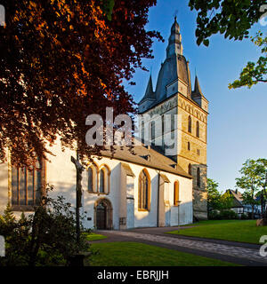 Kirche Sankt Petrus und Andreas in Brilon, Germany, North Rhine-Westphalia, Brilon Stockfoto