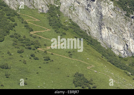 Trail in Alp, Savoie, Frankreich, Nationalpark Vanoise Stockfoto