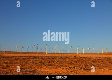 Windpark in der Natur Park Jandia, Kanarischen Inseln, Fuerteventura Stockfoto