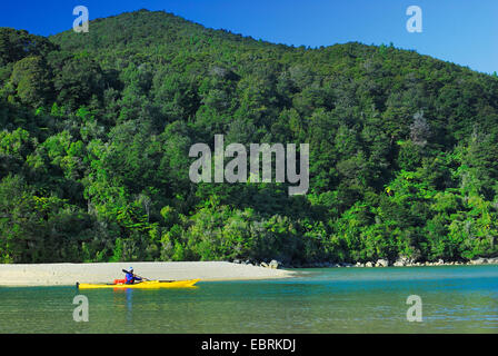 Kajakfahrer in der Bark Bay, Neuseeland, Südinsel, Abel Tasman Nationalpark Stockfoto