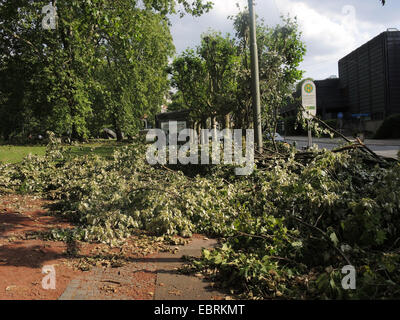 Straße mit Bushaltestelle nach Sturmtief Ela am 2014-06-09, Bochum, Ruhrgebiet, Nordrhein-Westfalen, Deutschland Stockfoto