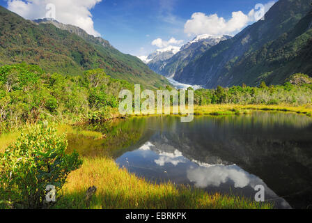 Panoramablick vom Peters-Pool in den Südalpen mit Franz Josef Glacier, Neuseeland, Südinsel, Westland National Park Stockfoto