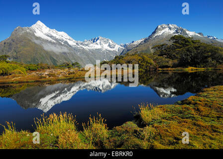 Blick vom Key Summit zum Mount Christina, Neuseeland, Südinsel, Fjordland Nationalpark Stockfoto