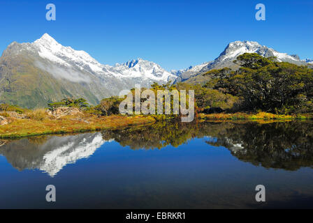 Blick vom Key Summit zum Mount Christina, Neuseeland, Südinsel, Fjordland Nationalpark Stockfoto