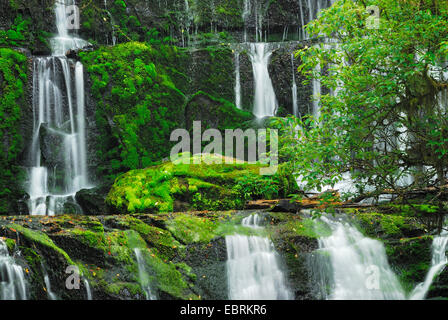 Purakaunui Falls, Neuseeland, Südinsel, Catlins Forest Park Stockfoto