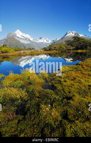 Blick vom Key Summit zum Mount Christina, Neuseeland, Südinsel, Fjordland Nationalpark Stockfoto