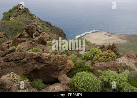 Blick auf den Atlantik von schroffen und überwucherten Felsen an der Westküste in der Nähe von Punta Gongora zwischen Puerto De La Aldea und El Risco, Kanarische Inseln, Gran Canaria Stockfoto