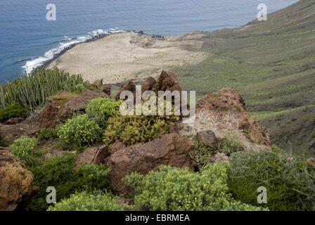 Blick auf den Atlantik von schroffen und überwucherten Felsen an der Westküste in der Nähe von Punta Gongora zwischen Puerto De La Aldea und El Risco, Kanarische Inseln, Gran Canaria Stockfoto