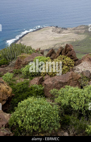 Blick auf den Atlantik von schroffen und überwucherten Felsen an der Westküste in der Nähe von Punta Gongora zwischen Puerto De La Aldea und El Risco, Kanarische Inseln, Gran Canaria Stockfoto