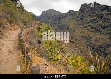 Barranco del Infierno, Kanarische Inseln, Teneriffa Stockfoto