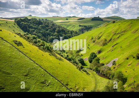 Wolfscote Dale an der Grenze von Derbyshire und Staffordshire. Schönen Sommerlandschaft mit grünen Hügeln. Stockfoto