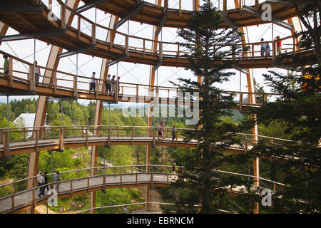 Aussichtsturm der Tree Top walk in National Park Bayerischer Wald, Deutschland, Bayern, Nationalpark Bayerischer Wald Stockfoto